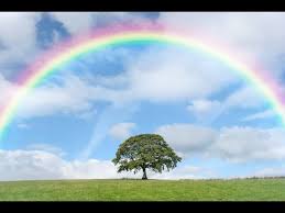 R&eacute;sultat de recherche d'images pour "lib&eacute;ration &eacute;motionnelle"