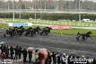 Prix Phaeo - Partants Pronostics PMU Vincennes