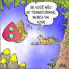 Resultado de imagem para zona de conforto