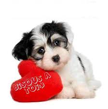 Résultat de recherche d'images pour "gros bisous"