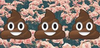 Bildergebnis für tumblr poop