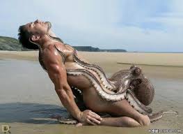 Image result for japanese octopus porn