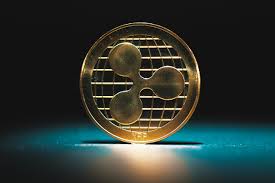BTC Echo - News update