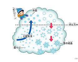 雪の結晶が降ってくるまでの画像