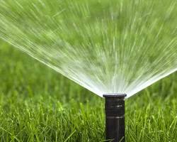 Image of Sprinkler system