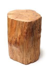 Znalezione obrazy dla zapytania log