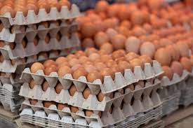 Farm in Shawano County issues voluntary recall of eggs due to possible 
Salmonella contamination, 65 people infected in nine states