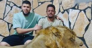 اليوم السابع - News update