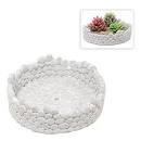 Artificial Plants, Flowers, Trees Planters - Dubai, UAE