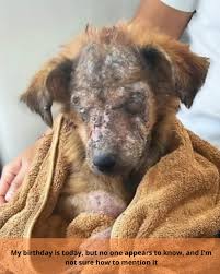 Viendo Chicas Guapas