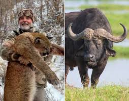 Texas Hunter Fatally Charged by Cape Buffalo in South Africa