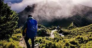 Hasil gambar untuk pecinta alam indonesia