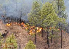 Resultado de imagen para fotos de incendios forestales en republica dominicana