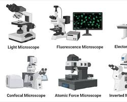 صورة Different types of microscopes