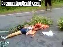 「human roadkill」の画像検索結果