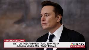 ‘Could explain something’: Nicolle Wallace on Elon Musk’s reportedly intense drug use