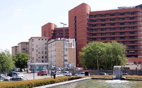 Trend Google: pavia