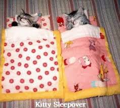 Image result for sleepover