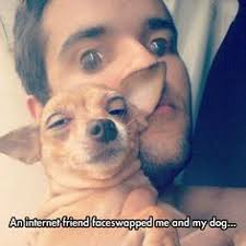 Image result for doge face swap