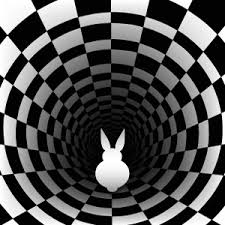 Image result for rabbit hole