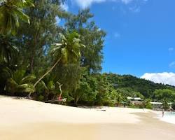 Immagine di Spiaggia di Anse Soleil, Mahé