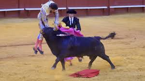 Preocupación por Roca Rey tras grave cogida en Sevilla