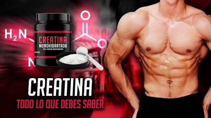 PARA QUÉ SIRVE LA CREATINA? / ¿CÓMO TOMARLA? - YouTube