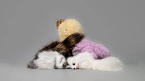 Laboratory Tests Reveal Real Animal Fur in Cheap Toys and Key Rings Marketed as Faux Fur in NSW - SSBCrack