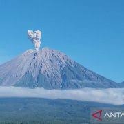 ANTARA News - News update