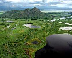 Image of Pantanal Wetlands, Brazil