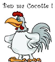 Rsultat de recherche dimages pour poule et coq humour