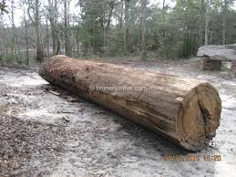 Znalezione obrazy dla zapytania log