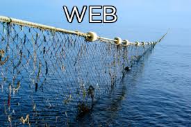 Image result for gillnet