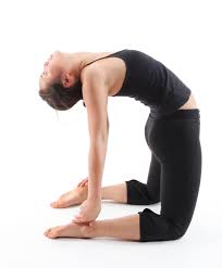 Image result for Photos of Heart Opening postures