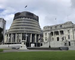 NZ Electoral Reforms Spark Human Rights Concerns