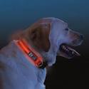 Squeaker Poochlight Illuminating LED Dog Collar Light
