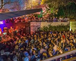 Image of Mohawk in Austin, Texas