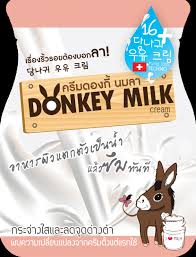 Image result for donkey milk