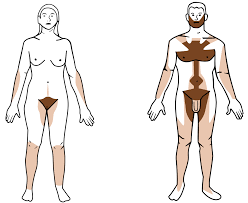 Image result for differences between men and women male and female body parts