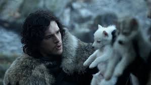 Kptallat a kvetkezre: „jon snow”