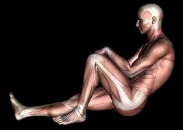 Resultado de imagen de el cuerpo humano