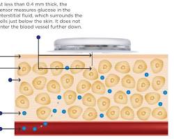 how skin sensor works 이미지