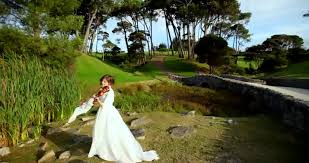 Image result for Violin beautiful