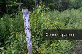 Licensable picture: A marker delineates the boundary between the United States and Canada near the upstate New York town of Churubusco, New York, on