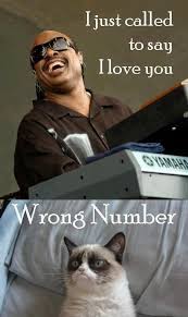 Image result for musical animal funnies