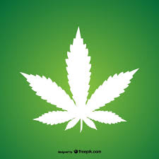 Résultat de recherche d'images pour "cannabis leaf"