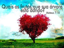 Resultado de imagem para ARVORE COM BONS FRUTOS