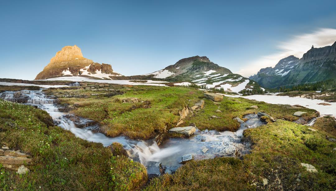 Glacier National Park Alpine Meadows