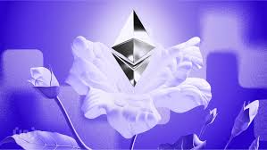 BeInCrypto Brasil - News update