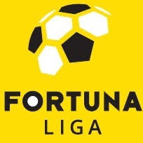 Resultado de imagem para fortuna liga imagens logo